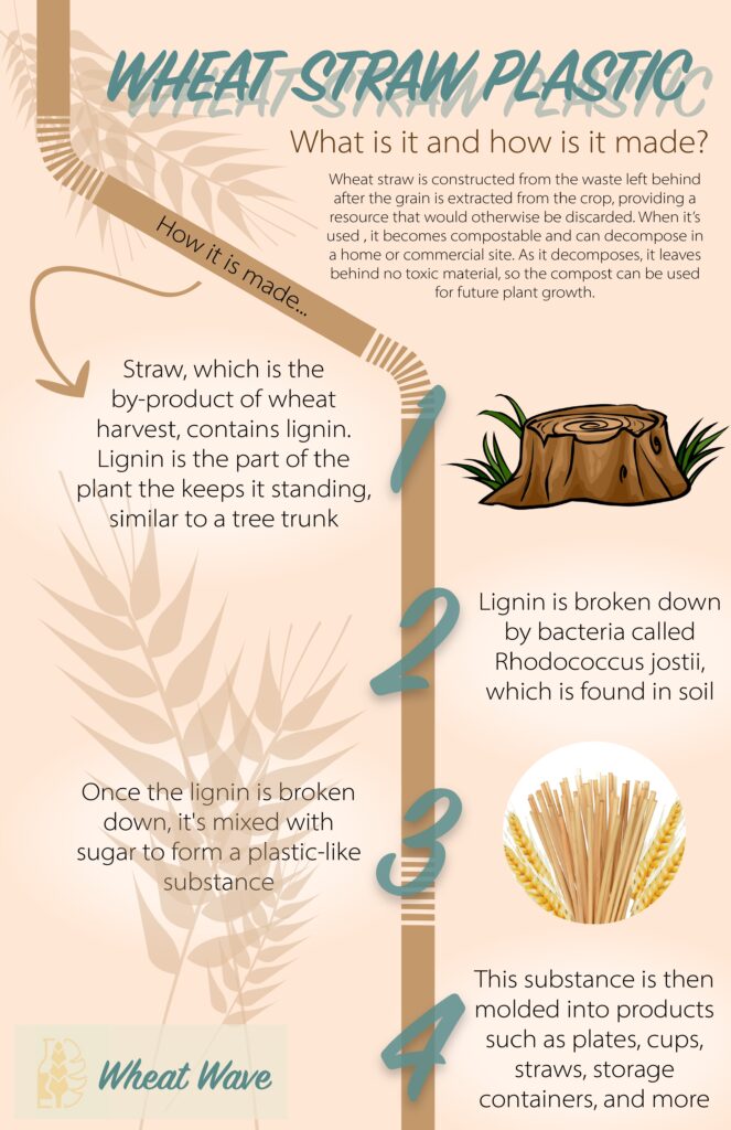 Wheat straw plastic infographic