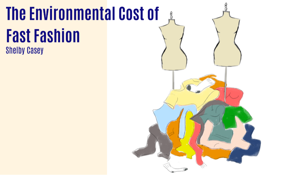 The Environmental Cost of Fast Fashion, by Shelby Casey